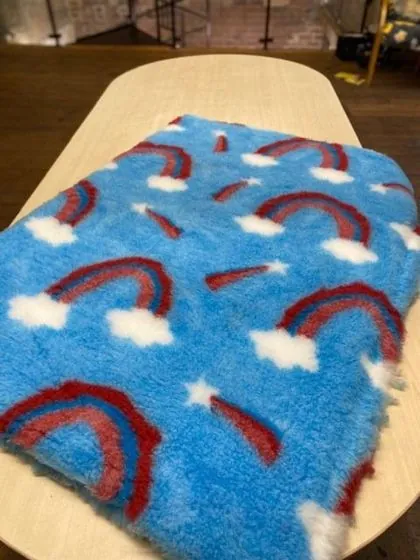 Rainbow pattern vet bedding