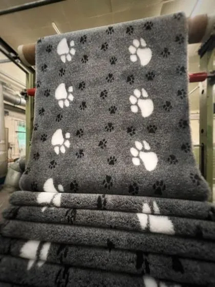 Paw print pattern vet bedding