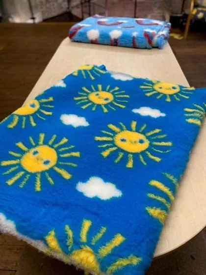 Sunshine pattern vet bedding