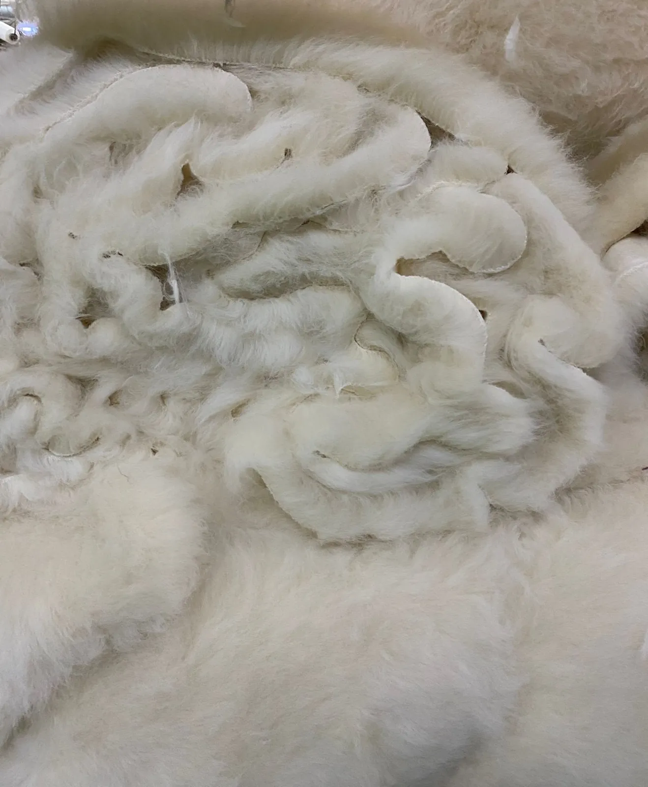 Unsheared undyed British wool pile fabric